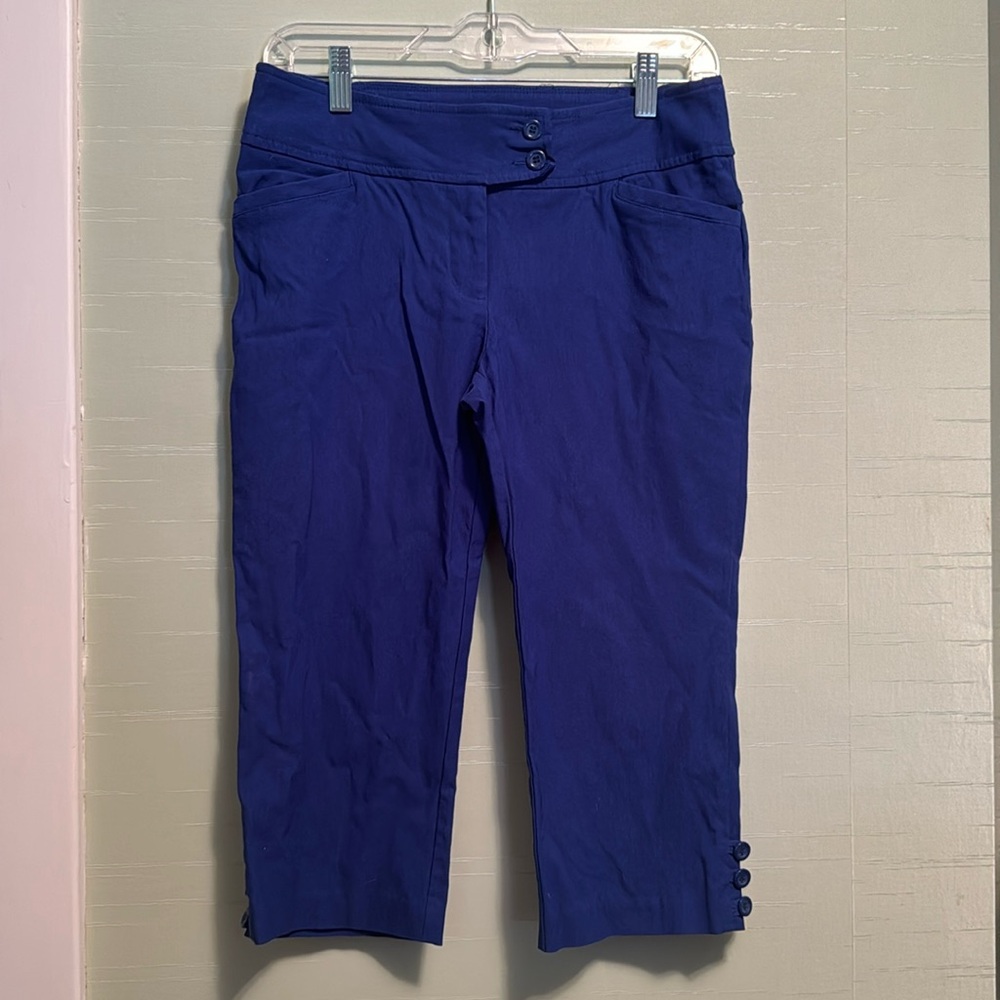 Women’s size 4 dress pants/capri lot